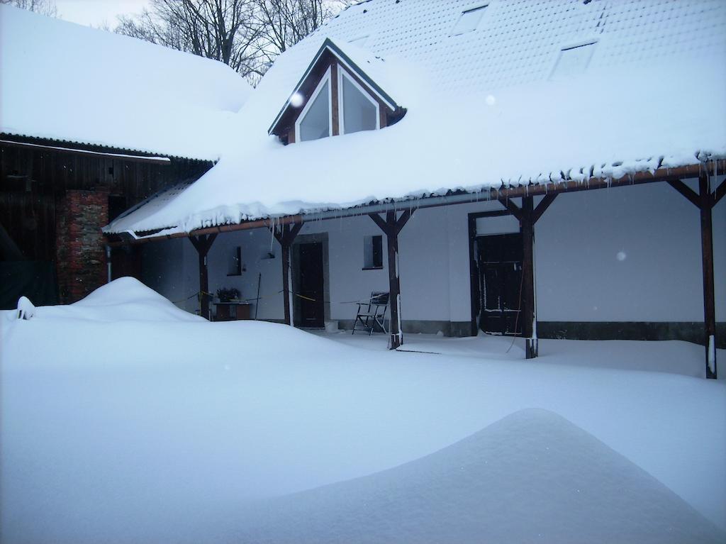 Penzion U Dvojice Nove Mesto na Morave Exteriör bild