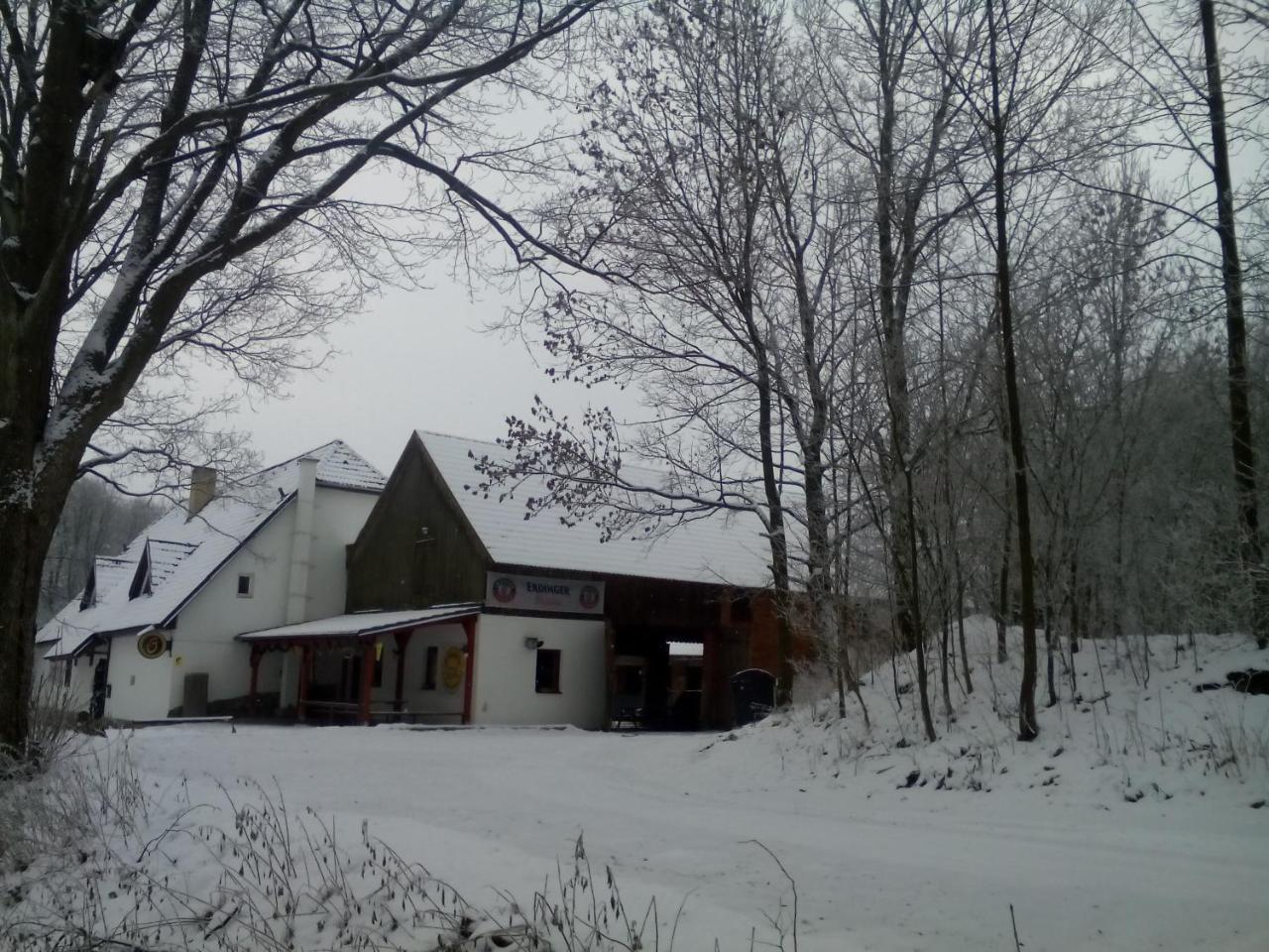 Penzion U Dvojice Nove Mesto na Morave Exteriör bild